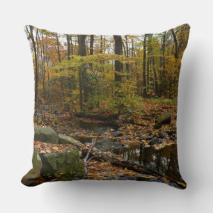 Fall Creek mit Spiegelung im Laurel Hill Park Kissen