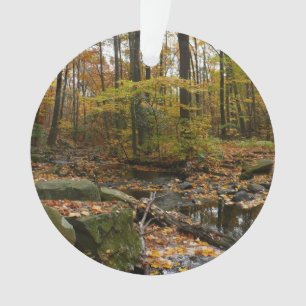 Fall Creek mit Spiegelung im Laurel Hill Park Ornament