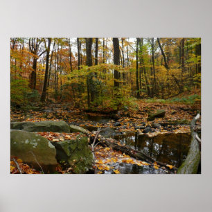 Fall Creek mit Spiegelung im Laurel Hill Park Poster