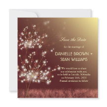 Fall Dandelions Brown Wedding Save the Date