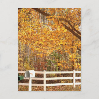 Fall Day postcard Postkarte