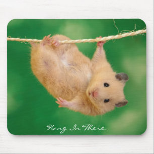 Fall dort im Hamster Mousepad
