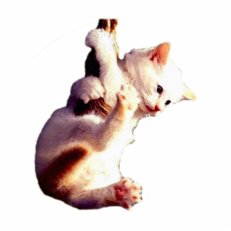 Fall dort in der Baby-Katze Freistehende Fotoskulptur