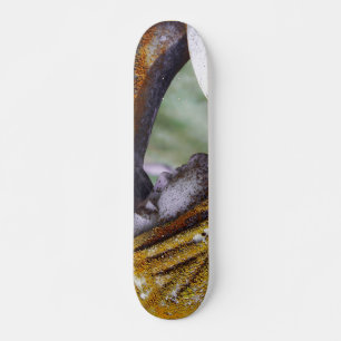 Fall einer ruhigen Zwischenlösung Skateboard