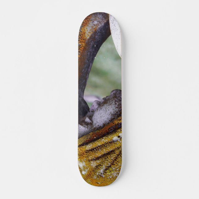 Fall einer ruhigen Zwischenlösung Skateboard (Vorne)