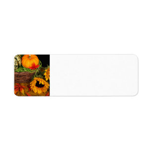 Fall-Ernte-Sonnenblumen