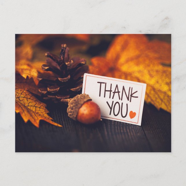 Fall Erntedank Fotografie Pumpkin Fotografie Postkarte (Vorderseite)