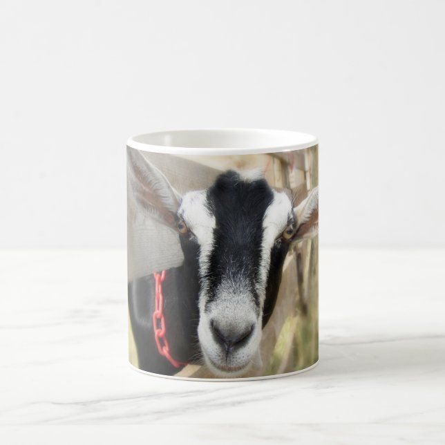 Fall Fair Billy Goat Kaffeetasse (Mittel)