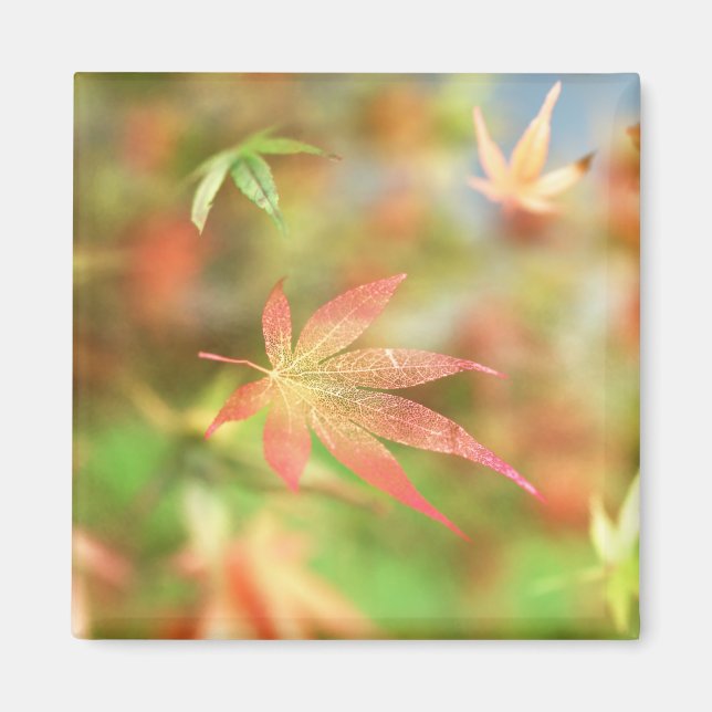 Fall Filigree Magnet (Vorne)