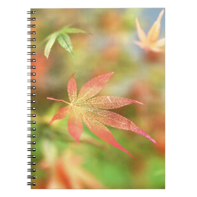 Fall Filigree-Notebook Notizblock (Vorderseite)