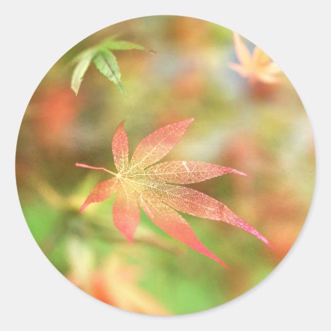 Fall Filigree Stickers (Vorderseite)