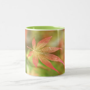 Fall Filigree-Tasse Zweifarbige Tasse