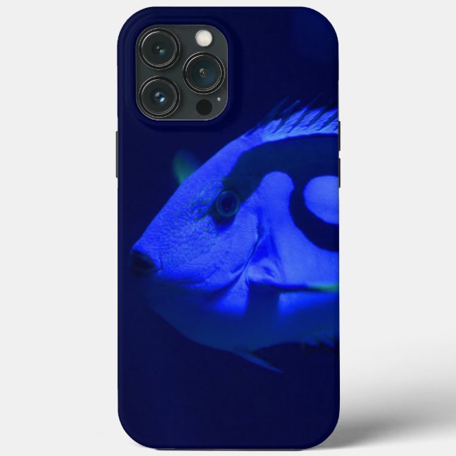 Fall Fish Case-Mate iPhone Case-Mate iPhone Hülle (Rückseite)