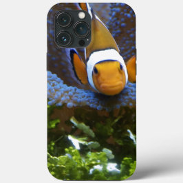Fall Fish Case-Mate iPhone Hülle