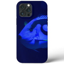 Fall Fish Case-Mate iPhone