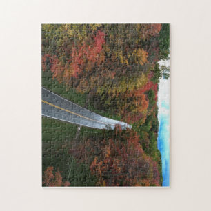Fall Foliage