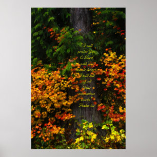 Fall Foliage 2 Druck mit Skriptersatz Poster