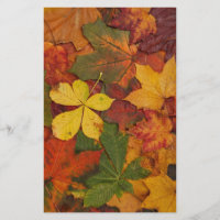 Fall-Foliage-Blätter in neutralen Farben