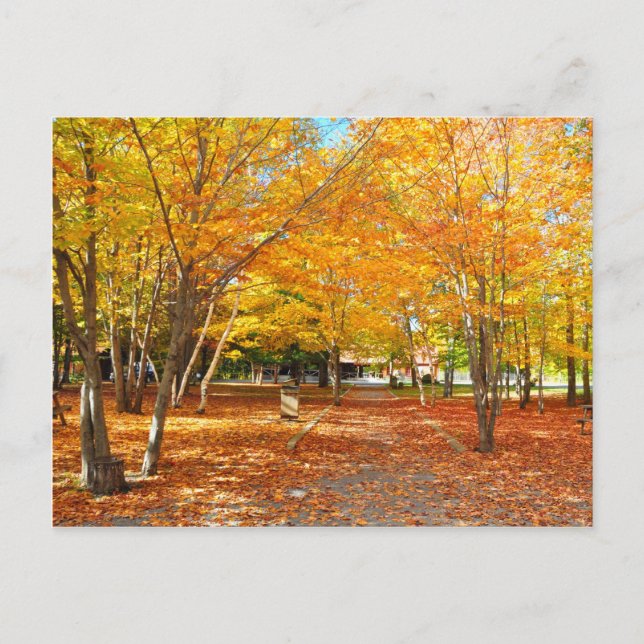 Fall Foliage Canyon Sainte Anne Quebec Postcard Postkarte (Vorderseite)