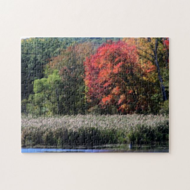 Fall Foliage, die einen Marsch Orton-Effekt grenzt (Horizontal)