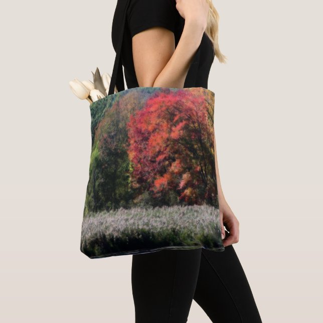 Fall Foliage, die einen Marsch Orton-Effekt grenzt Tasche (Von Nahem)
