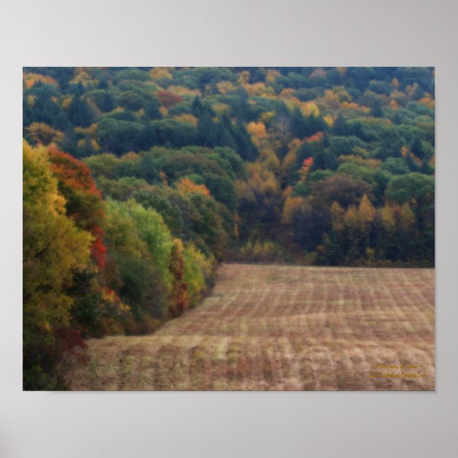 Fall-Foliage-Effekt Poster (Vorne)