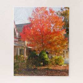 Fall Foliage in Oak Bluffs - Martha's Vineyard