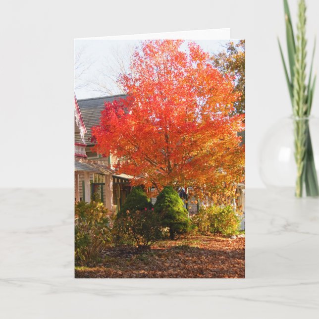 Fall Foliage in Oak Bluffs - Martha's Vineyard Karte (Vorderseite)