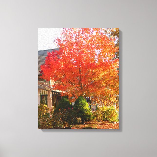 Fall Foliage in Oak Bluffs - Martha's Vineyard Leinwanddruck (Vorderseite)