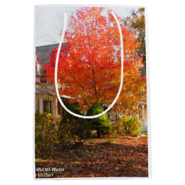 Fall Foliage in Oak Bluffs - Martha's Vineyard Mittlere Geschenktüte