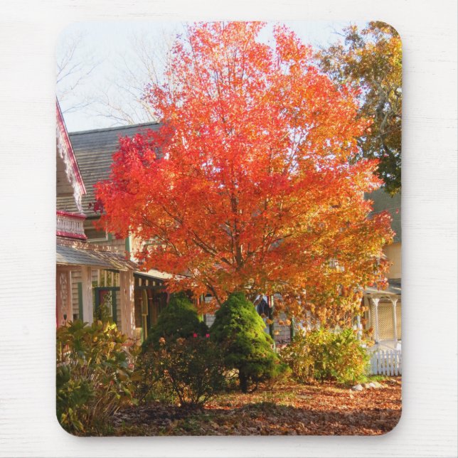 Fall Foliage in Oak Bluffs - Martha's Vineyard Mousepad (Vorne)