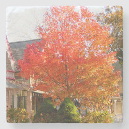 Fall Foliage in Oak Bluffs - Martha's Vineyard Steinuntersetzer
