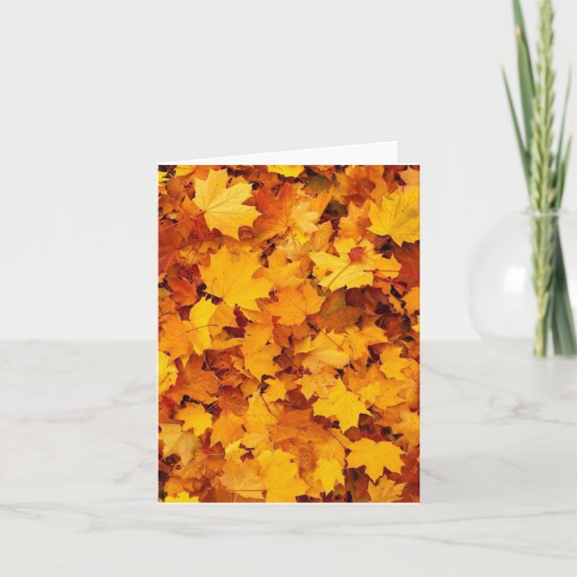 Fall Foliage Karte (Vorderseite)