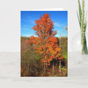 Fall Foliage Karte
