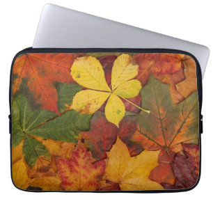 Fall Foliage Laptopschutzhülle