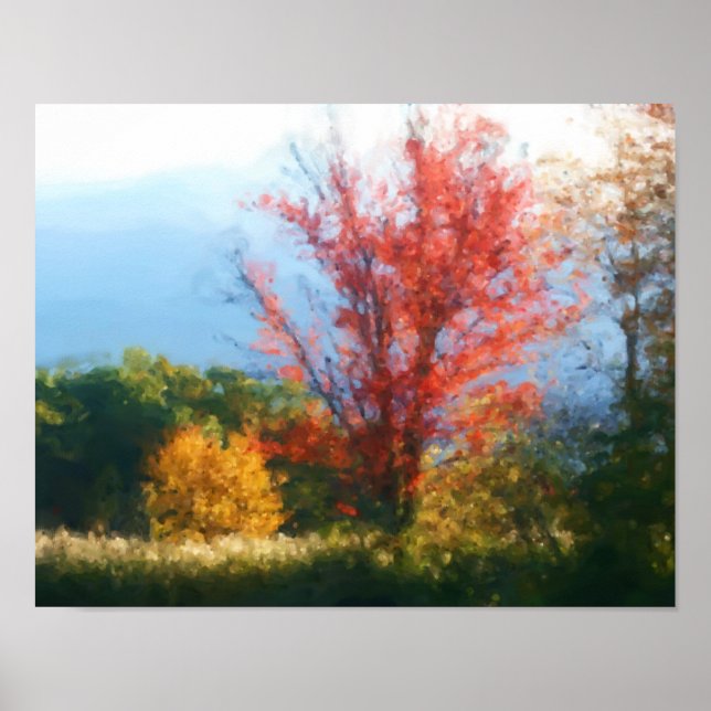 Fall Foliage Nature Foto Malerei Poster (Vorne)