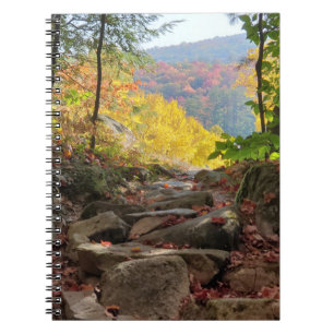 Fall Foliage Notizblock