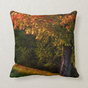 Fall Foliage Pillow Szenen   Akzent Säule 3 von 3 Kissen