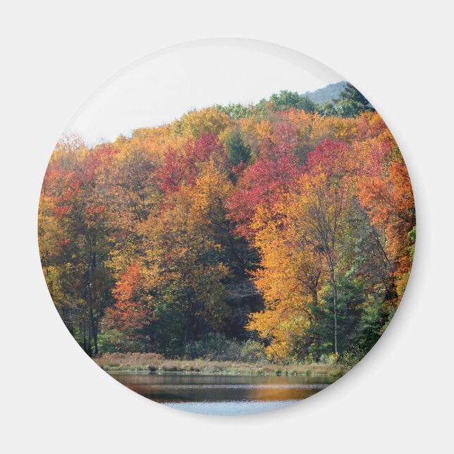 Fall Foliage Pond Nature Fotografy Magnet (Vorne)