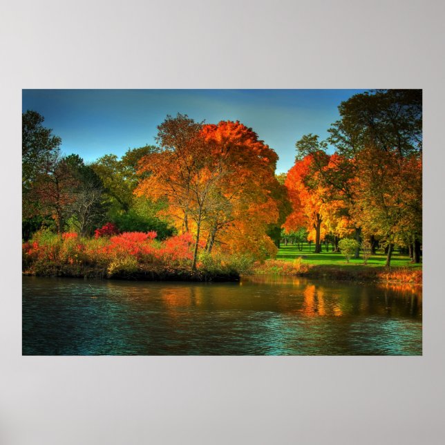 Fall Foliage Poster (Vorne)