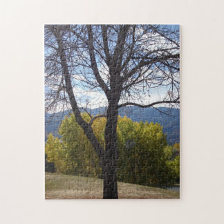 Fall-Foliage-Rätsel