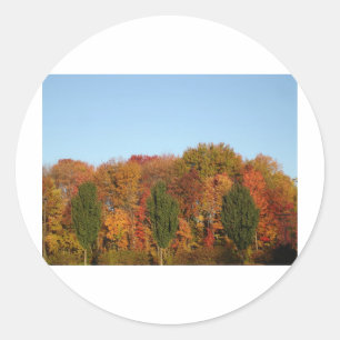 Fall Foliage Runder Aufkleber