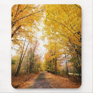 Fall Foliage Walking Path Mousepad