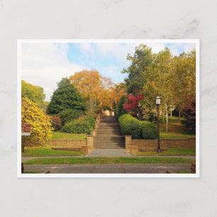 Fall Foliage Washington, D.C. Postcard Postkarte