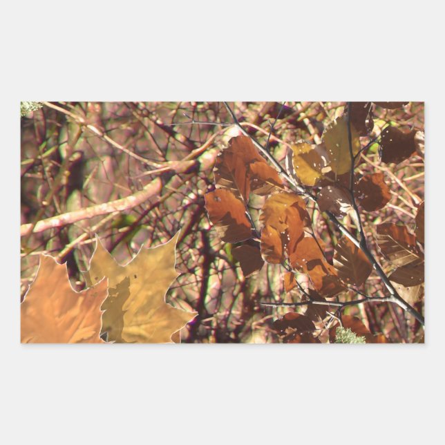 Fall Forest Bush Camouflage Rechteckiger Aufkleber (Vorderseite)