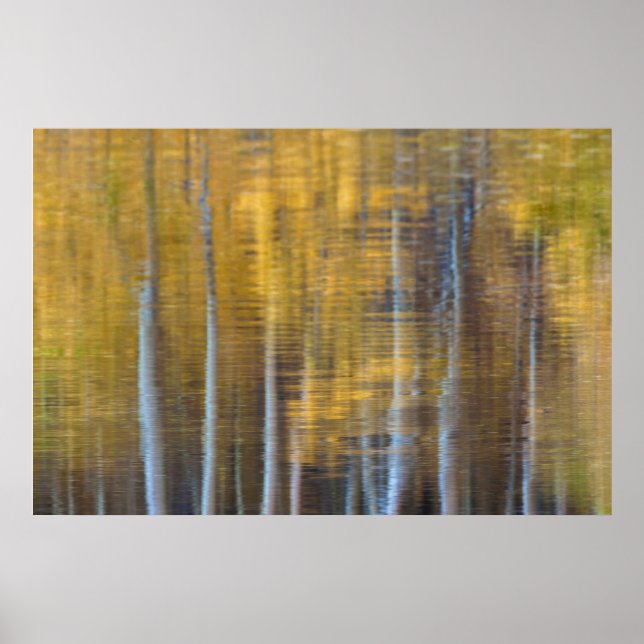 Fall Forest Reflection Abstrakt Poster (Vorne)