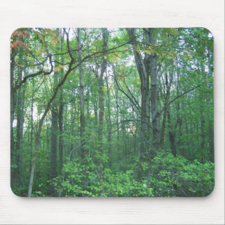 Fall-Forstwirtschaft Mousepad
