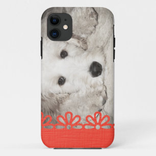 Fall Foto iPhone 5 Case-Mate iPhone Hülle