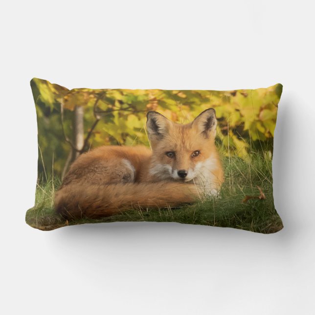 Fall Fox Lendenkissen (Vorderseite)