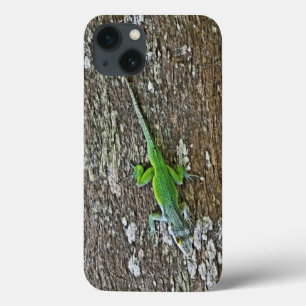 Fall Gecko title_seo2